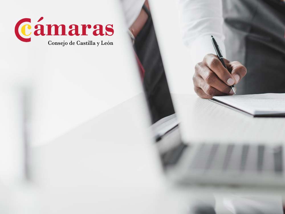 Consejo de Cámaras Oficiales de Comercio, Industria y Servicios de Castilla y León
